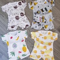 COMBO 6 BỘ COTTON GIẤY