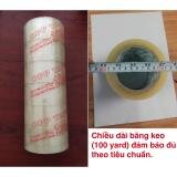 Combo 6 cuon bang keo dan thung dài 100yard đủ (trong suốt)