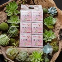 Combo 6 Gói BVS Diana Sensi Siêu Mỏng Cánh 8M