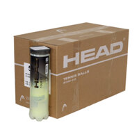 COMBO 6 Hộp Bóng Tennis HEAD TOUR XT