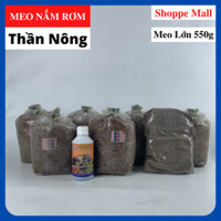 Combo 6 Meo Nấm Rơm + 1 Dinh Dưỡng + 1 Xịt Dưỡng - Tặng Kỹ Thuật Trồng Nấm Rơm Trong Nhà