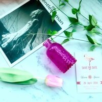 Combo 6 món phụ kiện chụp ảnh sản phẩm