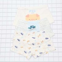 COMBO 6 QUẦN CHIP BÉ GÁI