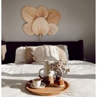 Combo 6 quạt lá cọ quạt lá kè y hình