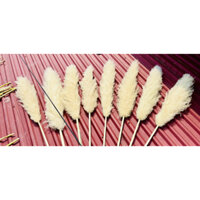 Combo 8  Bông lau màu kem ,cỏ lau khô, hoa khô trang trí decor nhà, trang trí shop,spa,trang trí tiệc cưới sự kiện
