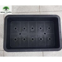 Combo 8 khay chậu nhựa trồng rau  màu đen