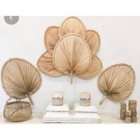 Combo 8 quạt lá cọ trang trí decor y hình