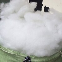 Combo 8Kg Bông gòn sợi 7D hàng loại 1 nhồi gối, thú bông, trang trí giả mây giả tuyết cao cấp (Giá tại xưởng)