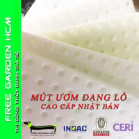 COMBO 960 VIÊN MÚT XỐP ƯƠM HẠT CAO CẤP NHẬT BẢN KHOÉT LỖ