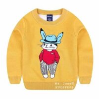 Combo áo len tuyết trinh