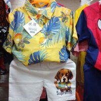 Combo  Áo sơ mi cho bé trai