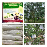 COMBO BAO TRÁI BƯỞI+ BAO TRÁI ỔI