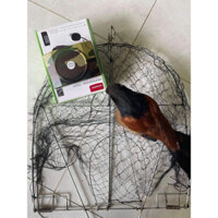 Combo bẫy bịp gồm 1 mẹt bán nguyệt, 1 bịp giả, 1 bộ loa ws 898 kèm thẻ nhớ đủ tiếng