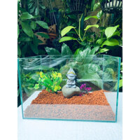 Combo bể cá mini để bàn kích thước nhỏ 20X15X20cm, bể cá betta CẠNH MÀI NHẴN ĂN TOÀN