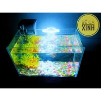 Combo bể cá mini +lọc thác nước ( Tặng thức ăn cho cá + sỏi )