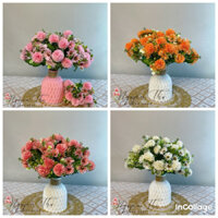 Combo bình cúc pingpong