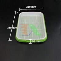 Combo bộ 5 Khay trồng Rau mầm Thủy canh 2 lớp MAM-100 TẶNG Kèm 1 Vòi Xịt Lắp Chai Nhựa