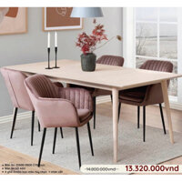 COMBO BỘ BÀN ĂN GỖ MẶT CHỮ NHẬT + 4 GHẾ EMILA #tiemdecorthang10