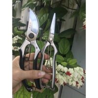 Combo bộ kéo cắt tỉa cây cảnh, bonsai Nhật bản