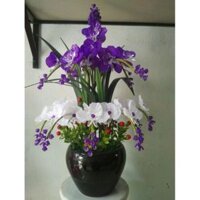 Combo bộ làm nguyên liệu hoa đá