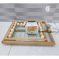 Combo Bộ Máy Ấp Cơ Bản + Khay Đảo 50 Trứng