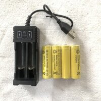 Combo Bộ Sạc 2 Cổng Tự Ngắt Kèm 4 Pin AA 700mAh1,2V Cho Đồng Hồ Cân Điện Tử [ Kho Hàng Giá Rẻ VN ]