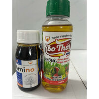 combo bo Thái+ amino mĩ hỗ trợ dưỡng bông mập,dai cuống và chống rụng bông và trái nhỏ