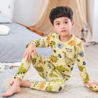 Combo bộ xuất hàn cotton len cho bé nga nguyen