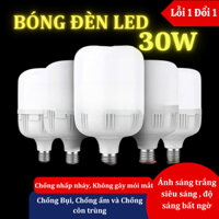 Combo Bóng Đèn Led 30W Mika Cao Cấp Siêu Sáng Tiết Kiệm Điện Năng Ánh Sáng Trắng Dễ Chịu