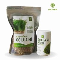Combo Bột cỏ lúa mì hữu cơ 250gram và Hạt giống cỏ lúa mì hữu cơ