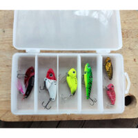 Combo cá sắt( Tặng 5 khóa Link)