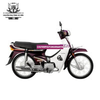 Combo Cặp Gương Chiếu Hậu Kính Chiếu Hậu xịn Dream Wave A , S,RS 100 Wave A110 RSX, Future