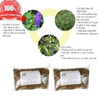 [COMBO] cây bán chi liên - cây xạ đen - cây bạch hoa xà thiệt thảo