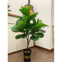 Combo Cây bàng Singapore gỉa cao 1m, có 3 nhánh - Kèm Chậu Nhựa 15cm. Cây cảnh giả trang trí nhà cửa, decor