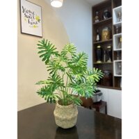 combo cây giả kèm giỏ cói - cây trầu bà thanh xuân giả monstera