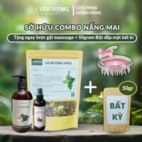 Combo cây hương nhu khô  + Dầu gội bồ kết + Xịt tóc bồ kết (Combo Nắng Mai)