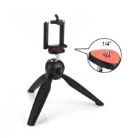 COMBO chân gậy + kẹp điện thoại Tripod Mini Yunteng 288 chính hãng