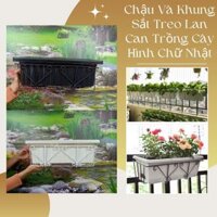 Combo chậu và khung sắt treo lan can trồng rau, hoa bền đẹp, giá rẻ, dễ chăm sóc (Vườn Sài Gòn)