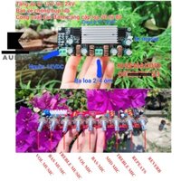 Combo chế loa Karaoke gia đình siêu hay (chưa blu và tấm mica)