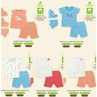 combo cho bạn fb Thảo Vân