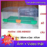 COMBO CHUỒNG NUÔI CHIM BỒ CÂU CÔNG NGHIỆP CÓ KHAY HẤNG PHÂN VÀ MÁNG ĂN