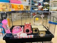 COMBO CHUỒNG NUÔI HAMSTER FULL PHỤ KIỆN