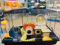 COMBO CHUỒNG NUÔI HAMSTER FULL PHỤ KIỆN
