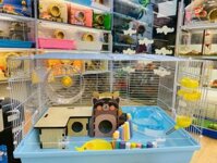 COMBO CHUỒNG NUÔI HAMSTER FULL PHỤ KIỆN