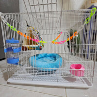 Combo Cơ Bản Lồng Sắt Và Phụ Kiện Cho Sóc Đất, Bông, Bay Úc...