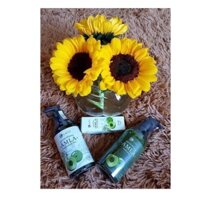 combo dầu gội AMLA