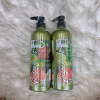 Combo Dầu Gội Bưởi, Dầu Cặp Gội + Xả GRAPEFRUIT 850ML