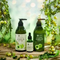 COMBO DẦU GỘI ĐẦU AMLA Laco