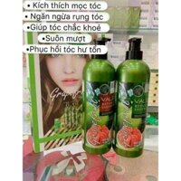 combo dầu gội đầu bưởi (dầu gội & dầu xả)