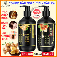 COMBO Dầu Gội Đầu Chiết Xuất Gừng + Dầu Xả Aicd Amin GOTDYA Chai Lớn 500ml – Làm Sạch Da Đầu, Dưỡng Tóc Mềm Mượt